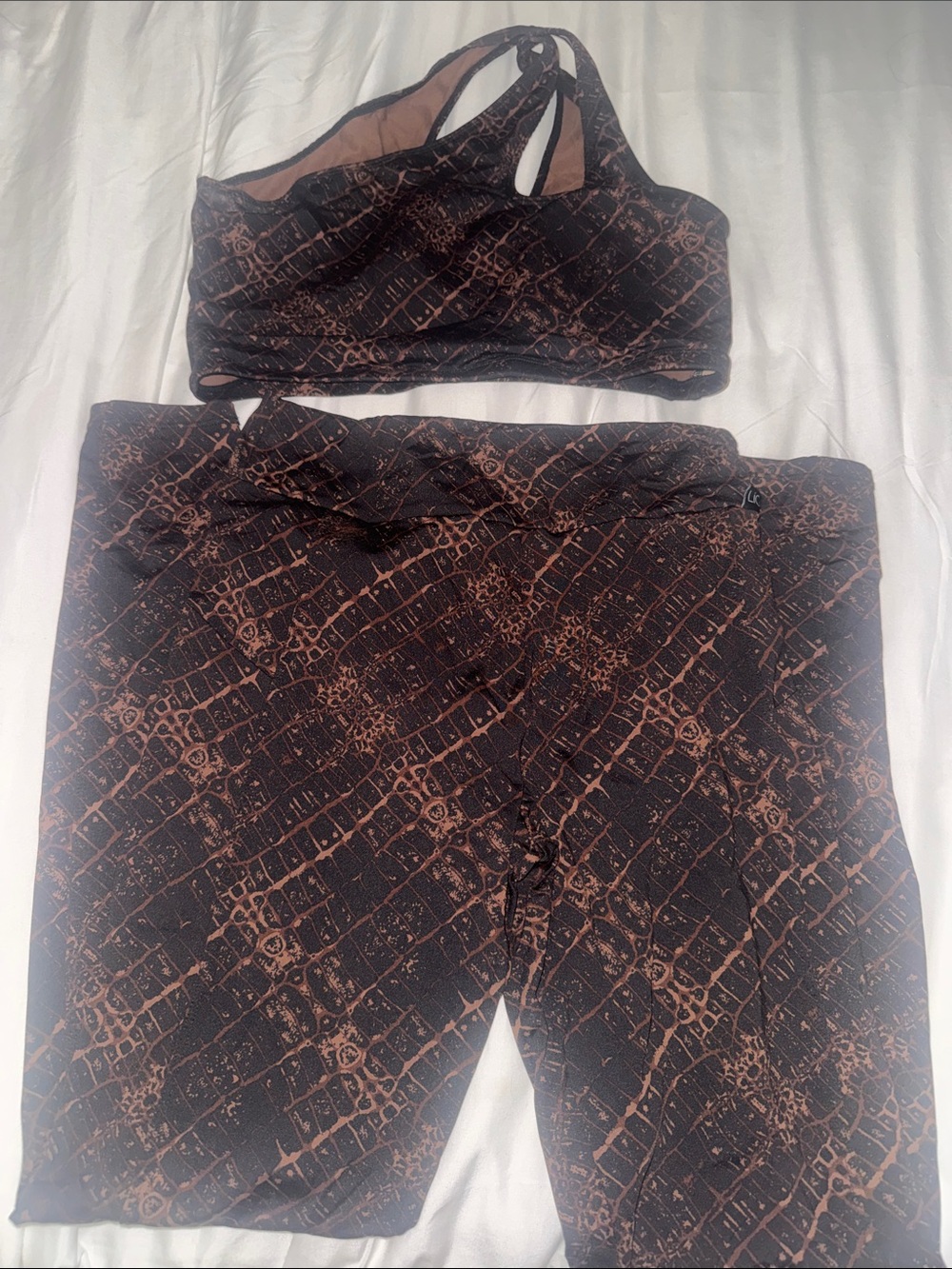 Lici Fit Croc-Texture Brown High-Rise Leggings with Matching Asymmetric Crop Top